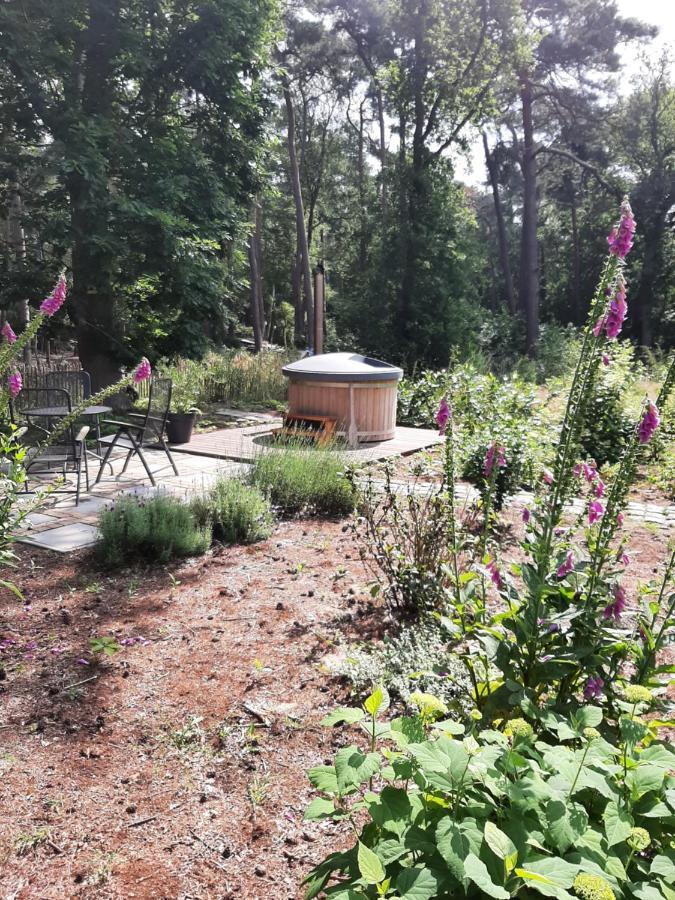 Vakantiehuis Met Hottub En Barrelsauna Ommen Exteriér fotografie