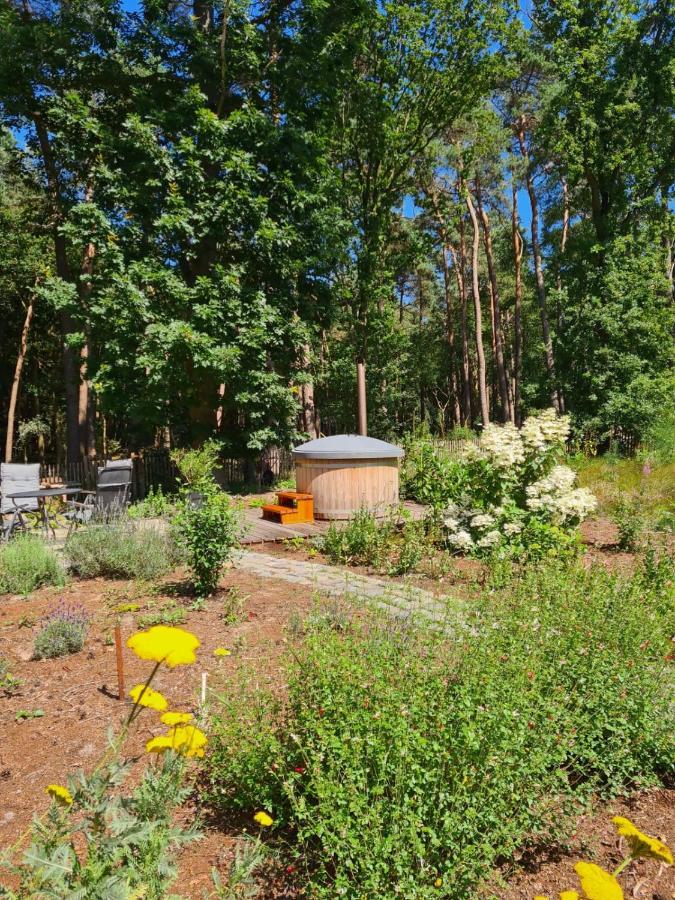 Vakantiehuis Met Hottub En Barrelsauna Ommen Exteriér fotografie