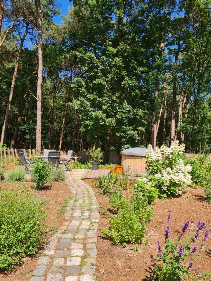 Vakantiehuis Met Hottub En Barrelsauna Ommen Exteriér fotografie